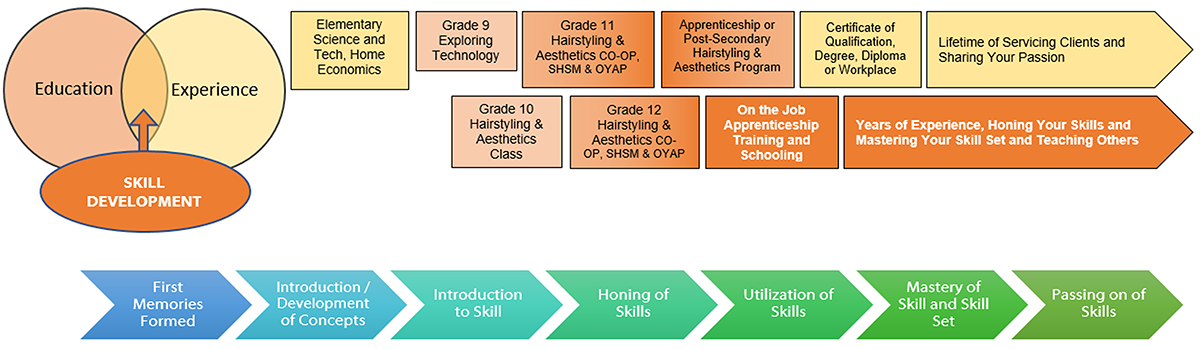 Continuum of Influence - Hairstyling